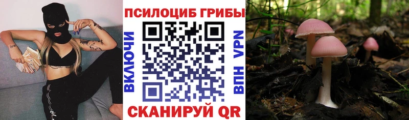 Псилоцибиновые грибы MAGIC MUSHROOMS  ссылка на мегу ссылка  Бирюч 