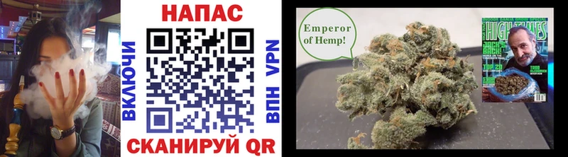 мориарти официальный сайт  Бирюч  Бошки Шишки SATIVA & INDICA  закладка 